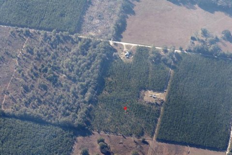 Terreno en venta en Live Oak, Florida № 1657339 - foto 14