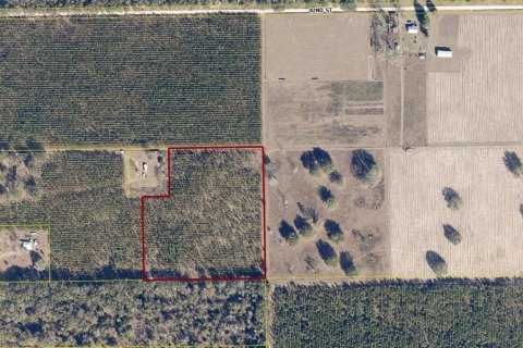 Terreno en venta en Live Oak, Florida № 1657339 - foto 6