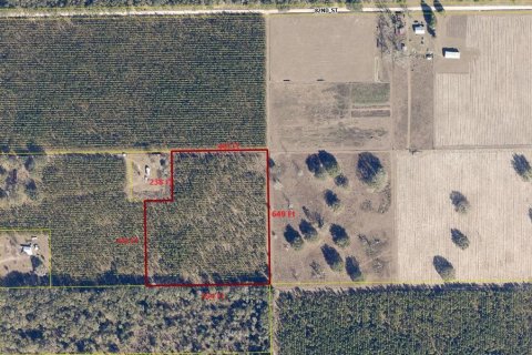 Terreno en venta en Live Oak, Florida № 1657339 - foto 2