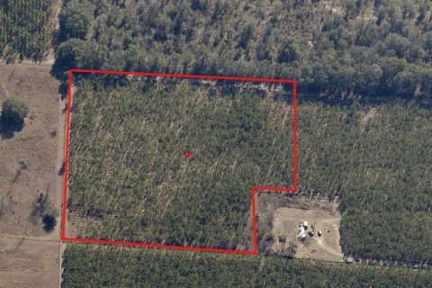 Terreno en venta en Live Oak, Florida № 1657339 - foto 12