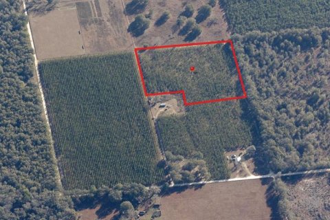 Terreno en venta en Live Oak, Florida № 1657339 - foto 4
