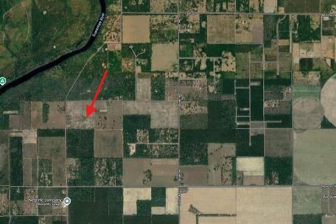 Terreno en venta en Live Oak, Florida № 1657339 - foto 16