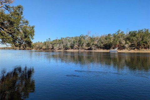 Land in Mayo, Florida № 2160210 - photo 10