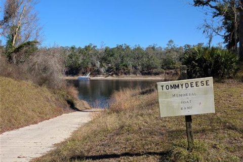 Land in Mayo, Florida № 2160210 - photo 4