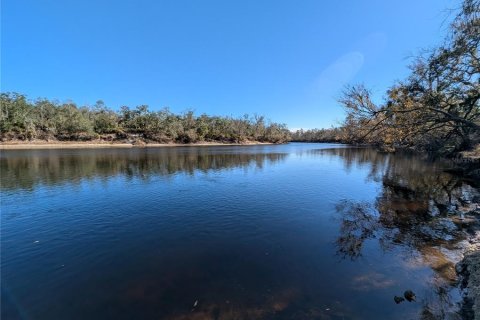 Land in Mayo, Florida № 2160210 - photo 3