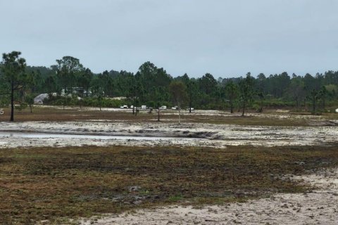 Commercial property in Punta Gorda, Florida № 1865547 - photo 2