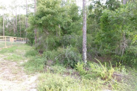 Land in Dunnellon, Florida № 2159198 - photo 5