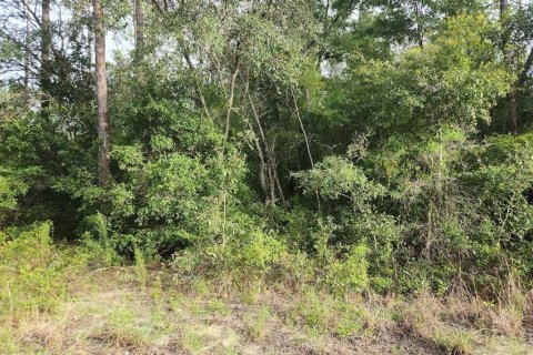 Land in Dunnellon, Florida № 2159198 - photo 10