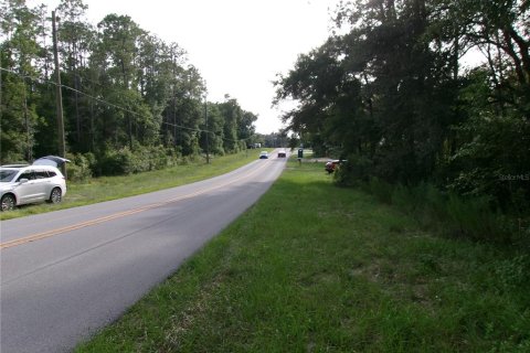 Land in Dunnellon, Florida № 2159198 - photo 3