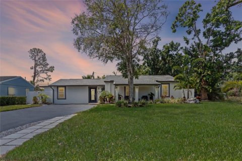 House in Tampa, Florida 4 bedrooms, 256.41 sq.m. № 1747055 - photo 4