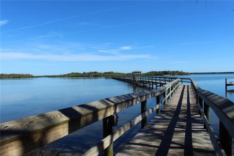 Land in Oak Hill, Florida № 1445978 - photo 14