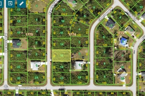 Land in Port Charlotte, Florida № 2160075 - photo 5
