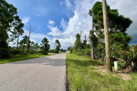 Land in Port Charlotte, Florida № 2160075 - photo 2