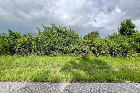 Land in Port Charlotte, Florida № 2160075