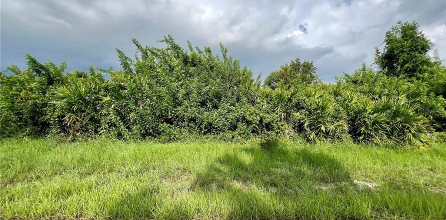 Land in Port Charlotte, Florida № 2160075