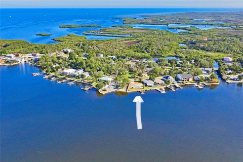Terreno en venta en Port Richey, Florida № 1549229 - foto 23