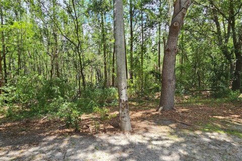 Condo in Kissimmee, Florida, 3 bedrooms  № 1784839 - photo 20