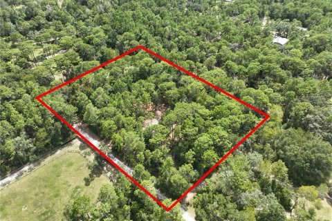 Terrain à Brooksville, Floride № 2358970