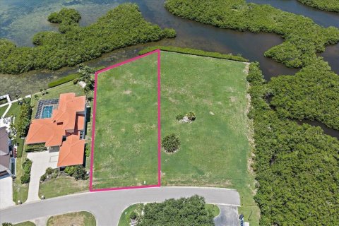 Land in Sarasota, Florida № 2284528 - photo 2