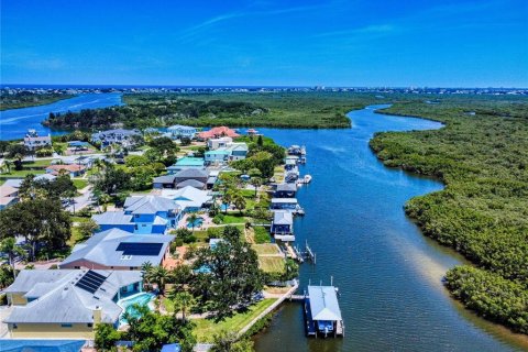 House in New Smyrna Beach, Florida 4 bedrooms, 278.71 sq.m. № 1873761 - photo 5