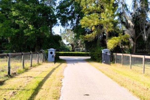 Terrain à vendre à Ocala, Floride № 1649448 - photo 3