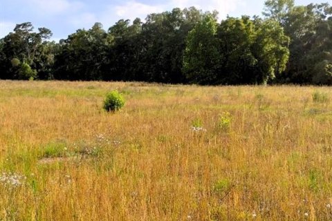 Terrain à vendre à Ocala, Floride № 1649448 - photo 4