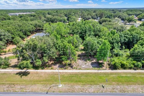 Land in Lutz, Florida № 2103531 - photo 8