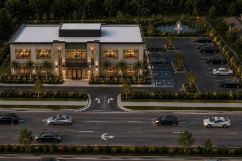 Land in Lutz, Florida № 2103531 - photo 9