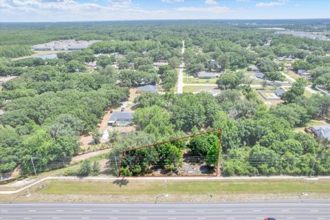 Land in Lutz, Florida № 2103531 - photo 3