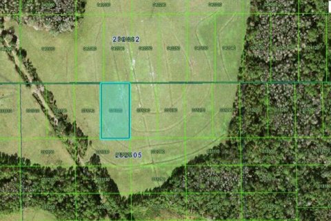 Terreno en Polk City, Florida № 2235284