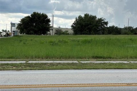 Land in Lake Placid, Florida № 1866817 - photo 3
