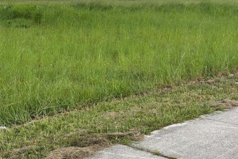 Land in Lake Placid, Florida № 1866817 - photo 1