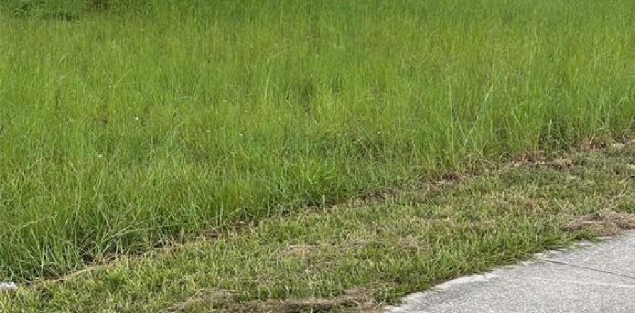 Land in Lake Placid, Florida № 1866817