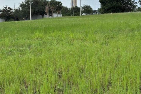 Land in Lake Placid, Florida № 1866817 - photo 5