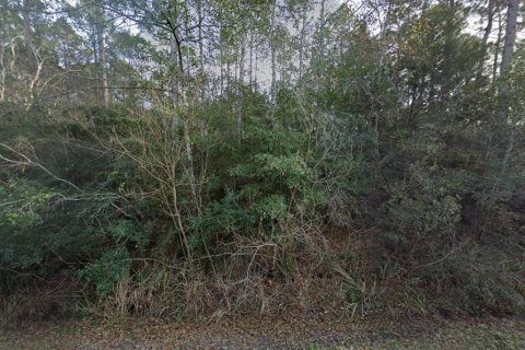 Land in Milton, Florida № 2161754 - photo 2