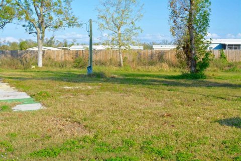 Terrain à vendre à Arcadia, Floride № 1534538 - photo 6