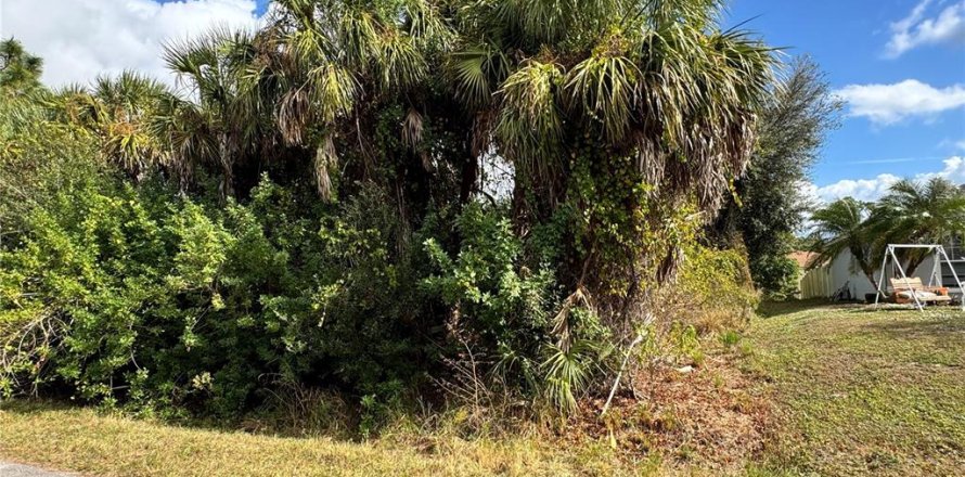 Terrain à North Port, Floride № 2160100