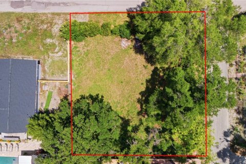Land in Tampa, Florida № 2233883