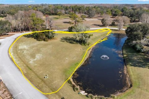 Terreno en venta en Tarpon Springs, Florida № 1908595 - foto 4