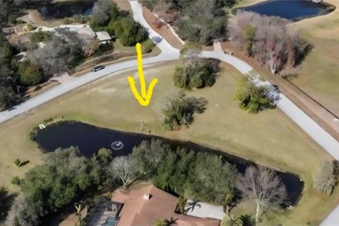 Terreno en venta en Tarpon Springs, Florida № 1908595 - foto 1