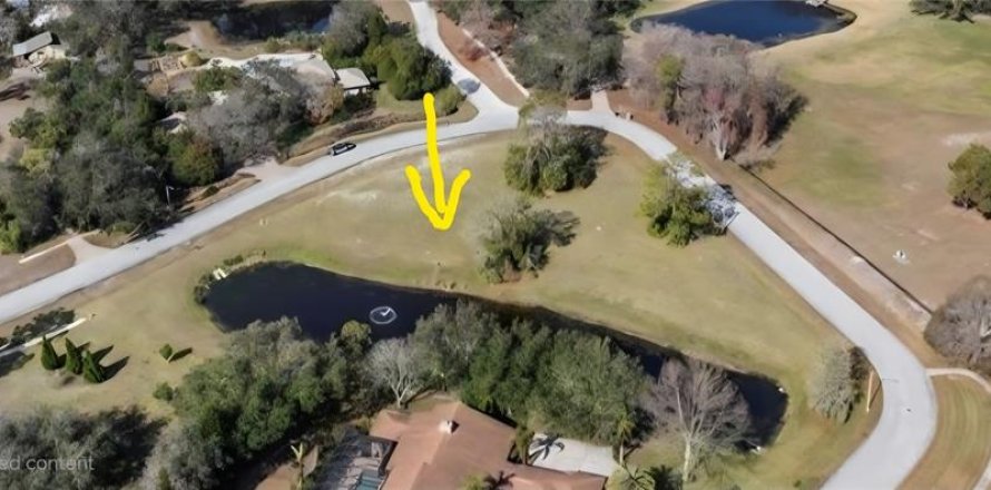 Terrain à Tarpon Springs, Floride № 1908595