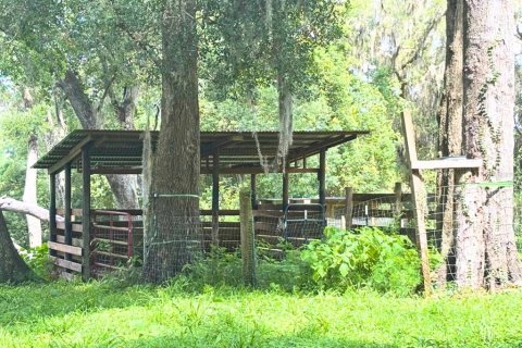 Terrain à vendre à DeLand, Floride № 2199495 - photo 4