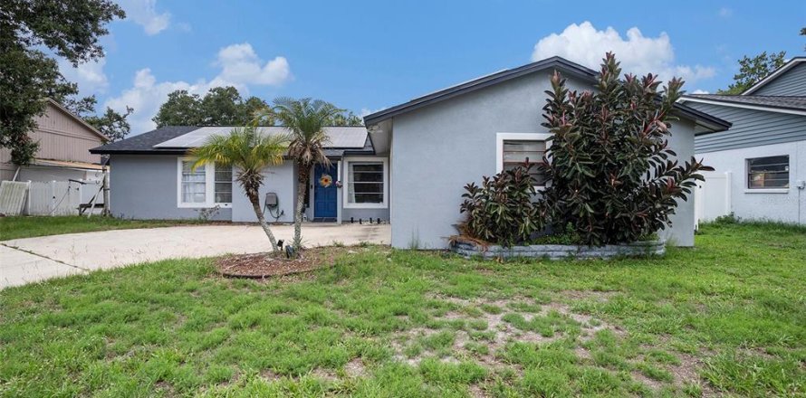 House in Tampa, Florida 3 bedrooms, 146.6 sq.m. № 1796782