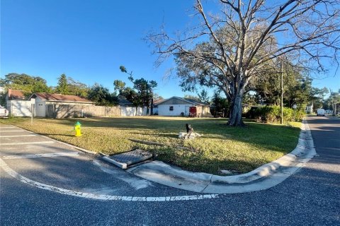 Terrain à Tarpon Springs, Floride № 2229874