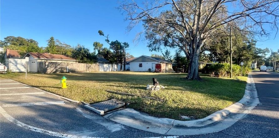 Terrain à Tarpon Springs, Floride № 2229874