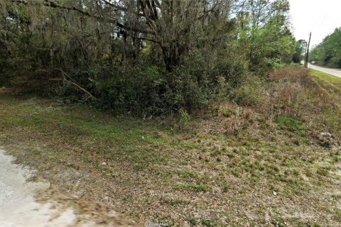 Land in Ocala, Florida № 2298353