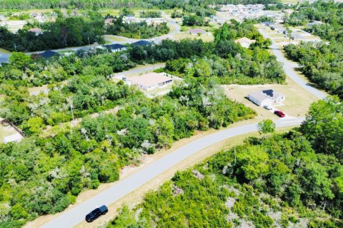 Commercial property in Ocala, Florida № 2249699 - photo 4