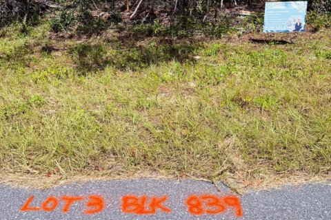 Commercial property in Ocala, Florida № 2249699 - photo 5