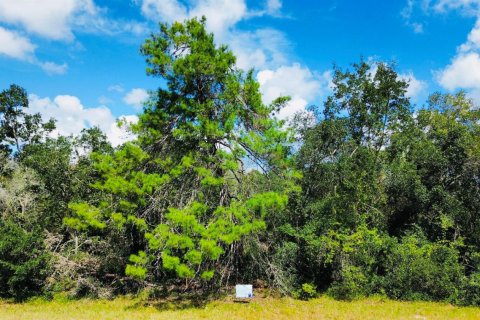 Commercial property in Ocala, Florida № 2249699 - photo 2