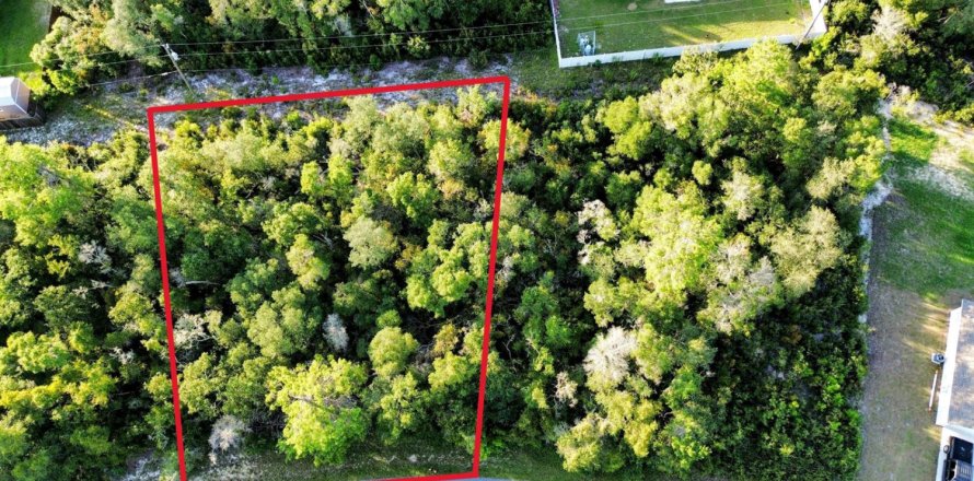 Commercial property in Ocala, Florida № 2249699
